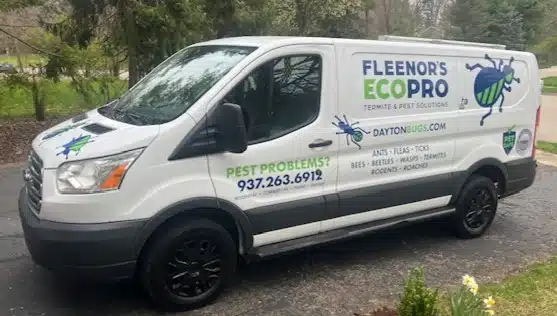 EcoPro New Van