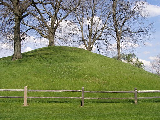 bed bugs in a mattress