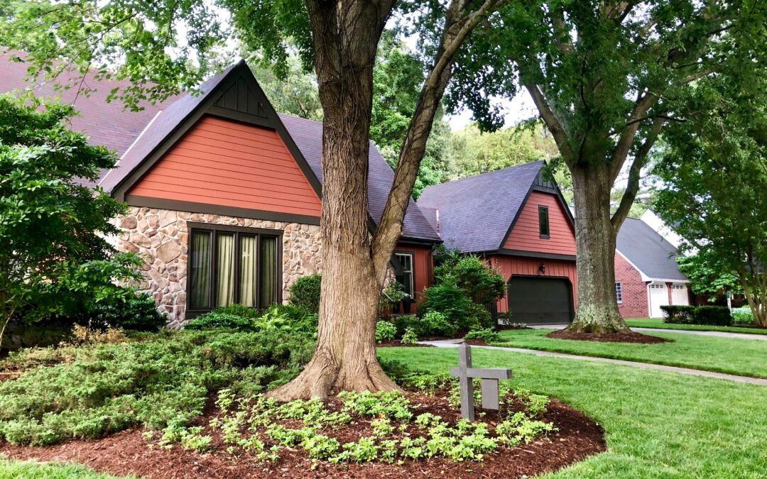 Why Trees Around Your Home Can Lead to More Pest Problems