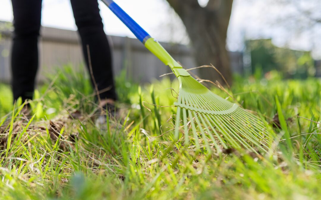Can Fall Yard Cleanup Send Pests Toward Your Home?