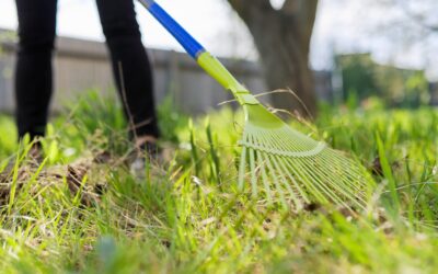 Can Fall Yard Cleanup Send Pests Toward Your Home?