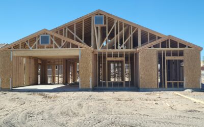 Pests in New Construction Homes: New Doesn’t Mean Pest-Free